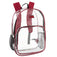 Clear Backpacks