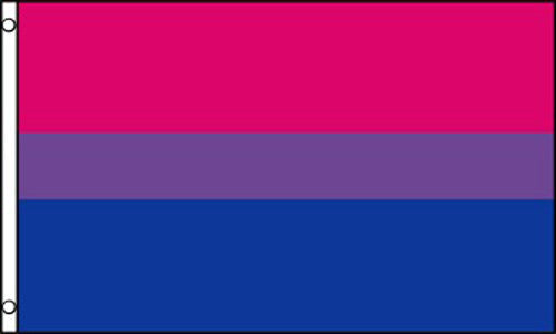 Bisexual Pride Rainbow 3 x 5 Flag – Durable and Vibrant LGBTQ+ Banner