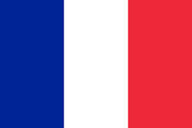 France 3' x 5' Flag - High Quality Flag for Indoor and Outdoor Display