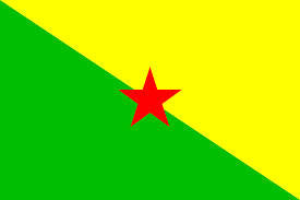 Guyana Country 3' x 5' Flag - High Quality Flag for Indoor and Outdoor Display