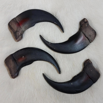 Resin Grizzly Bear Claw Replicas - NoveltiesMart.com Wholesale