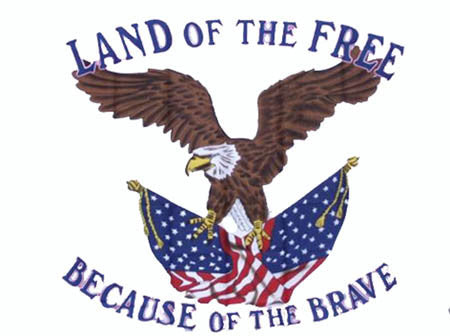 Land of the Free Because of the Brave 3' x 5' Flag - High Quality Patriotic Flag