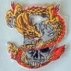 Dragon and Skull Embroidered Iron-On Patch