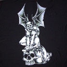 Gargoyle on Skull Wall Banner – 45x45 Inch Cloth Flag