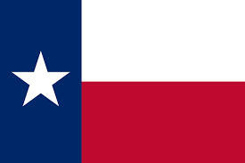 Texas 3' x 5' Flag - High Quality Polyester for Indoor and Outdoor Use