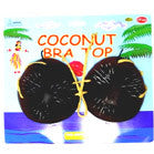 Coconut Hawaiian Bra – Perfect for Luaus and Tropical Parties